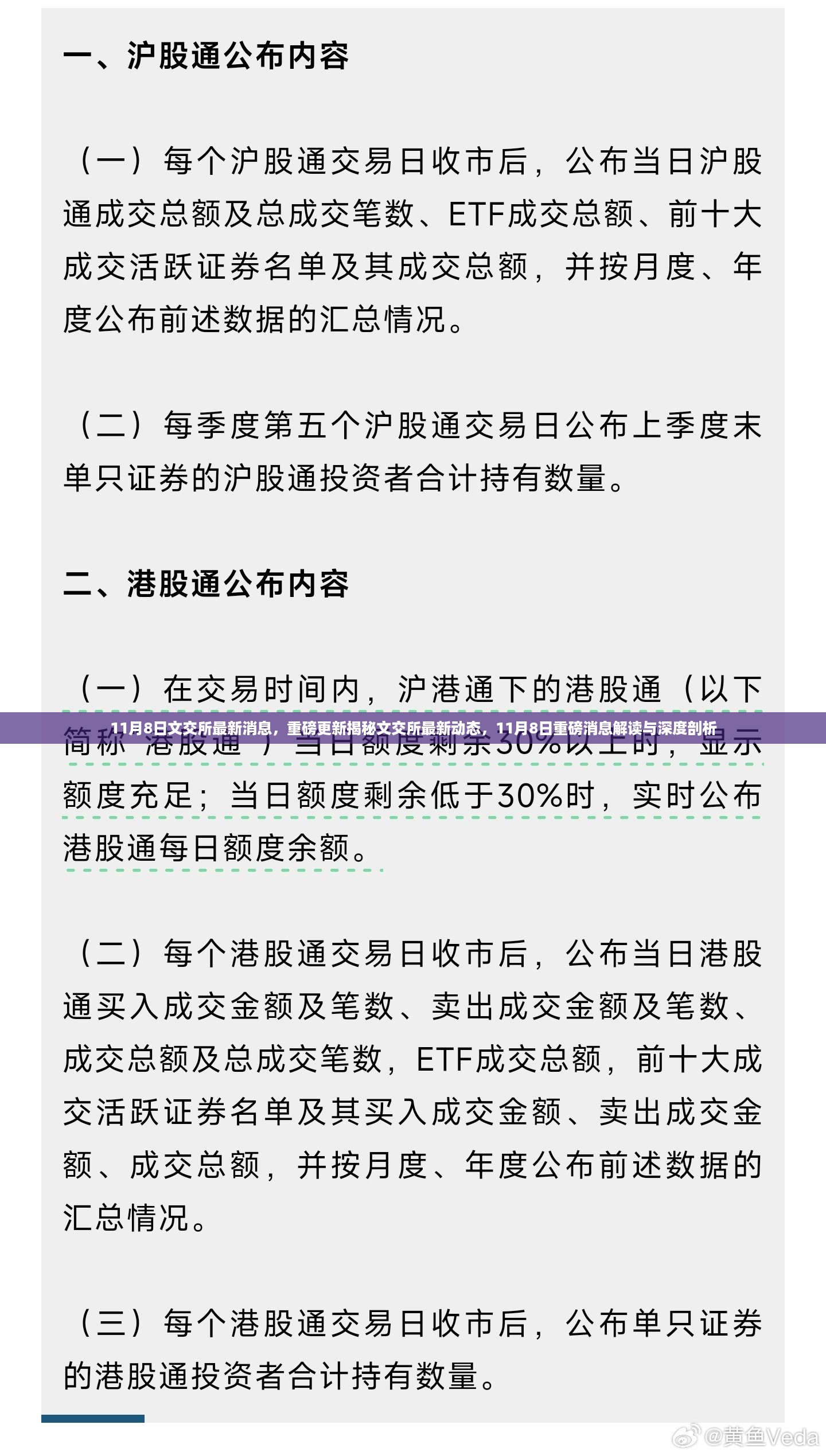 揭秘文交所最新动态，深度解读与分析重磅更新消息