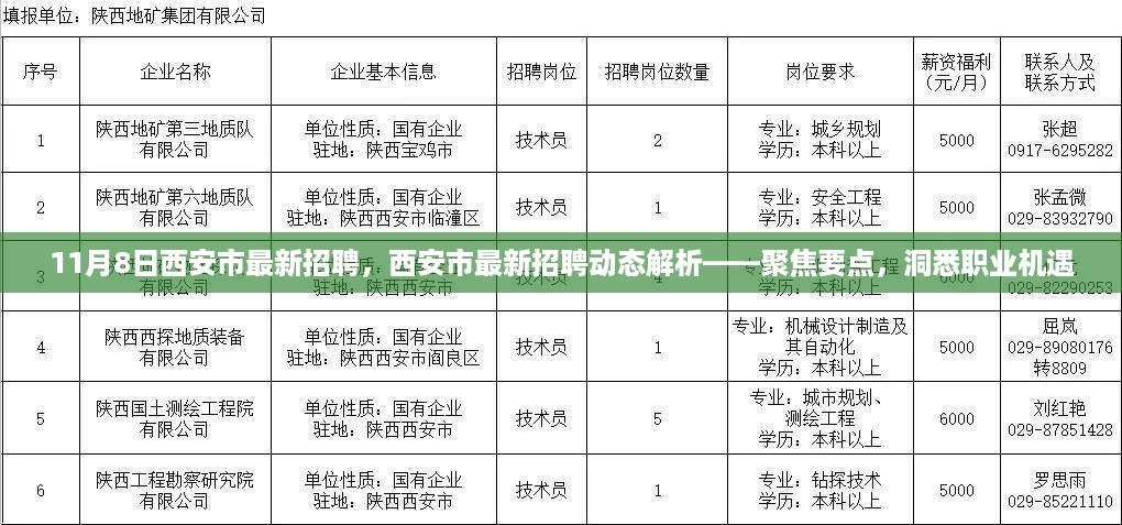 西安市最新招聘动态解析，聚焦要点，洞悉职业机遇（11月8日）