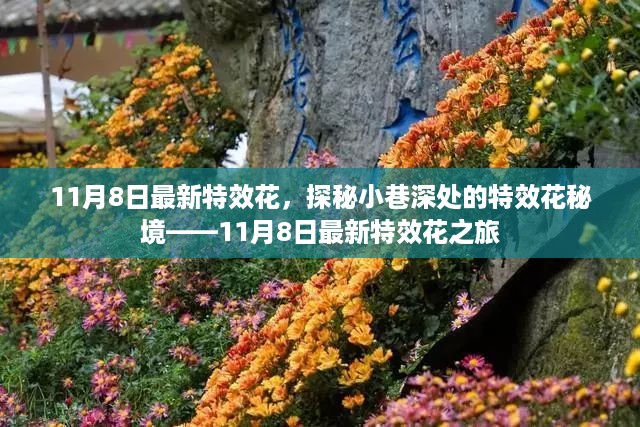 探秘最新特效花秘境，11月8日特效花之旅