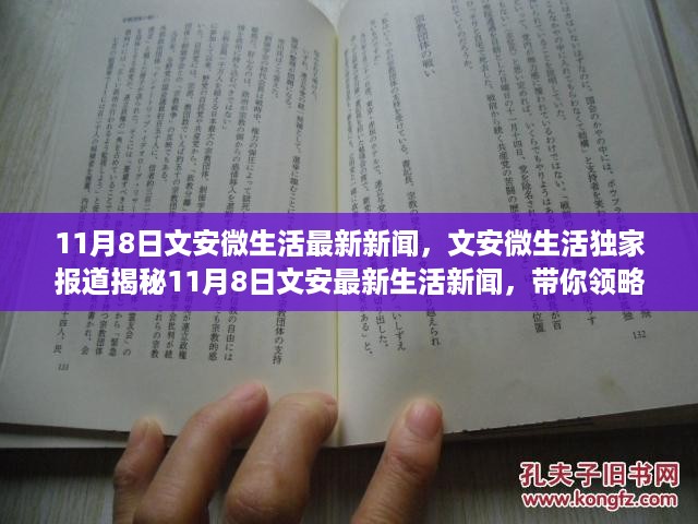 独家揭秘，文安微生活最新城市新闻，领略不一样的城市风情（11月8日）