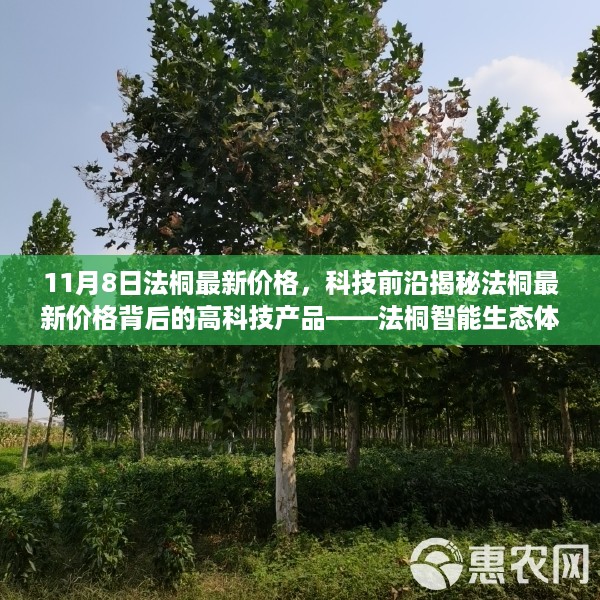 法桐智能生态体验之旅，揭秘最新价格背后的高科技产品动态及市场趋势分析