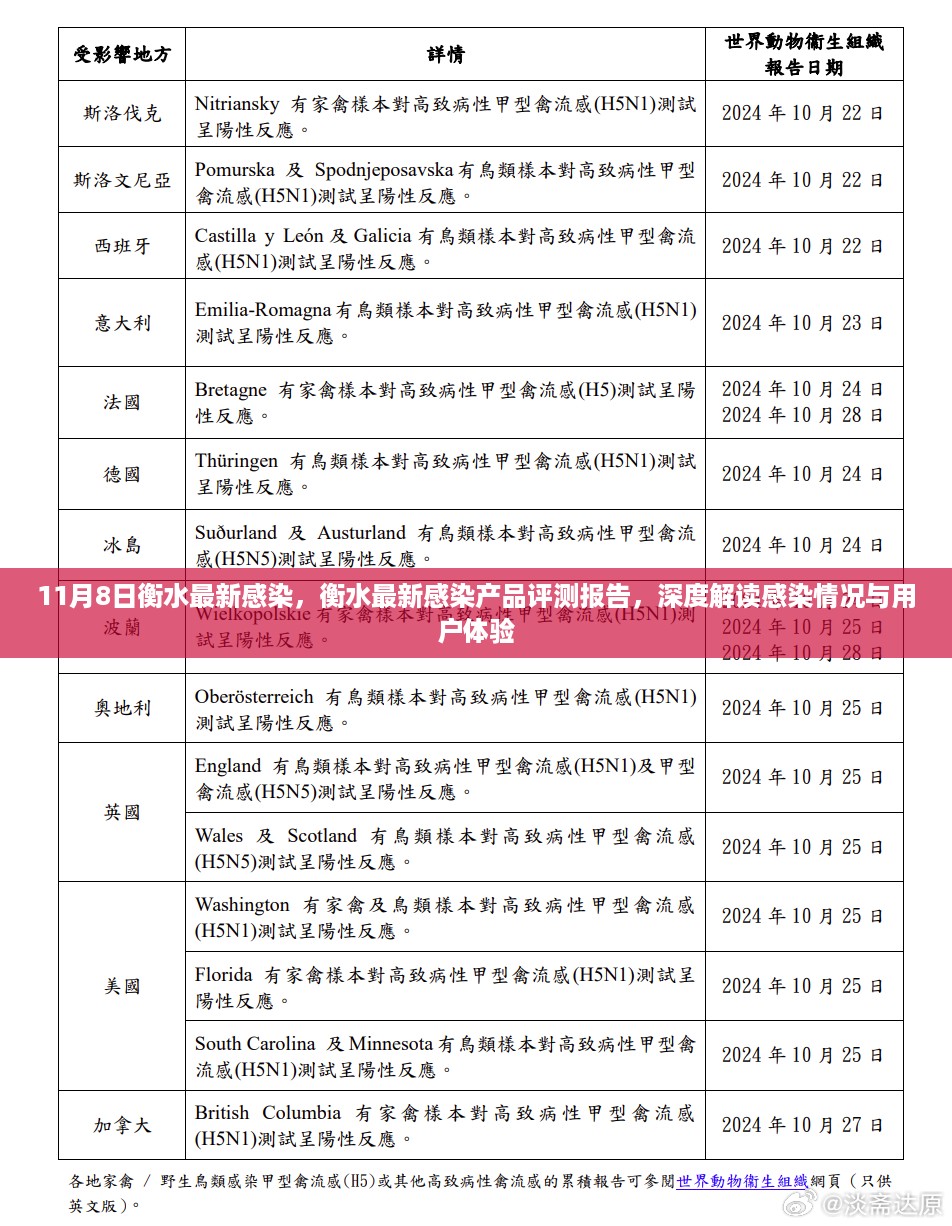 衡水最新感染产品深度评测报告，感染情况解读与用户体验反馈