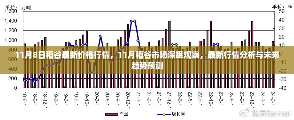 稻谷市场深度观察，最新行情分析、未来趋势预测及深度解读