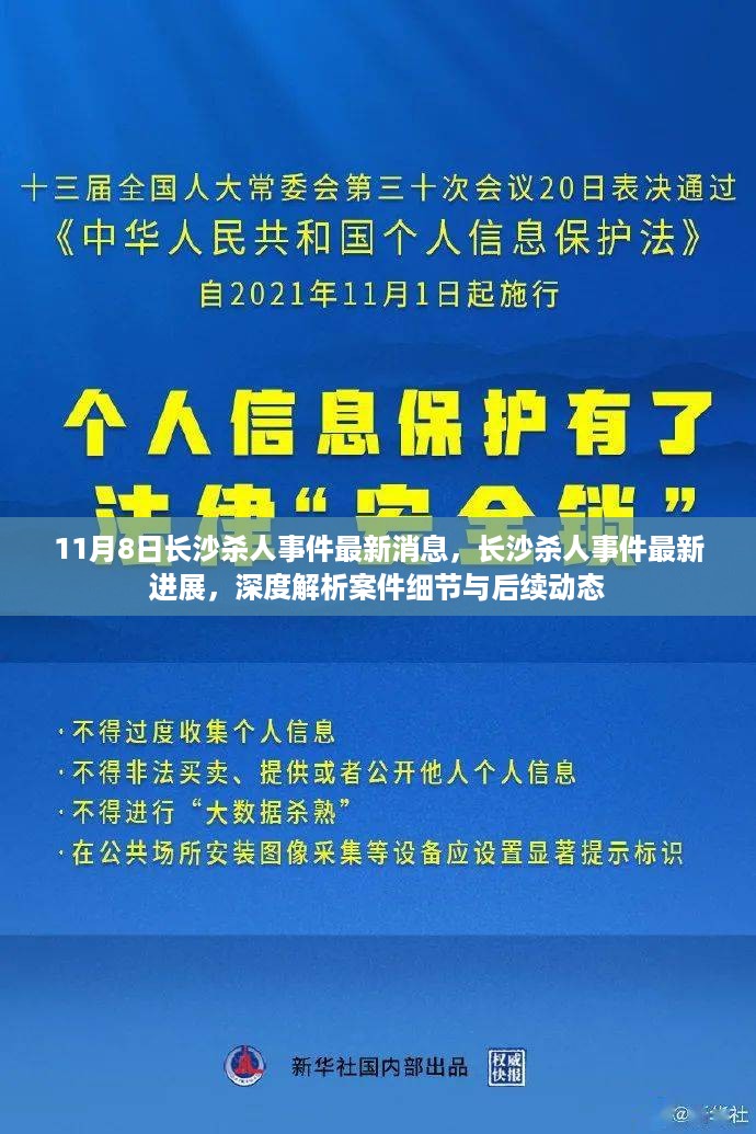 长沙杀人案最新进展，深度解析案件细节与后续动态报道（11月8日更新）