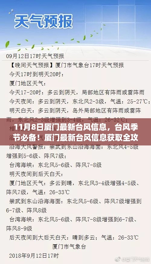 厦门台风最新资讯，11月8日更新，台风季节必备攻略，初学者进阶用户全掌握！