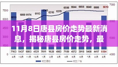 唐县房价走势最新消息深度解析，揭秘房价趋势（截至11月8日）