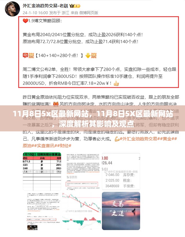 11月8日5X区最新网站深度解析，影响与观点探析