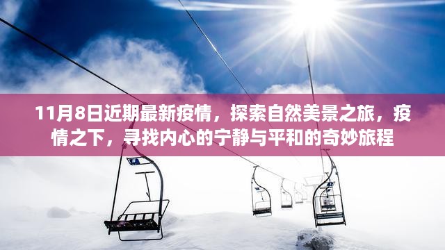 疫情下的自然探索之旅，寻找内心的宁静与平和的奇妙旅程最新报道（11月8日）