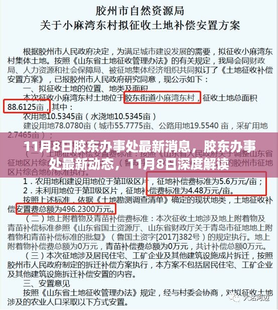 胶东办事处最新动态深度解读，11月8日最新消息揭秘