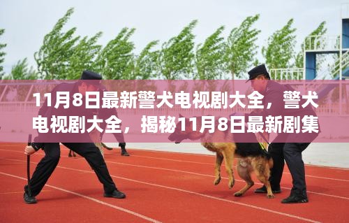 揭秘警犬电视剧大全，最新剧集的时代背景与影响