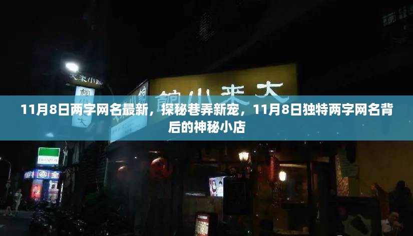 探秘巷弄新宠，揭秘独特两字网名背后的神秘小店，最新流行于11月8日