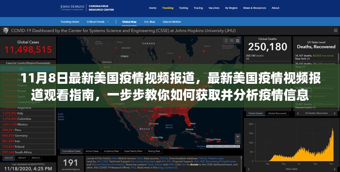 美国疫情最新动态，视频报道指南与疫情信息解析