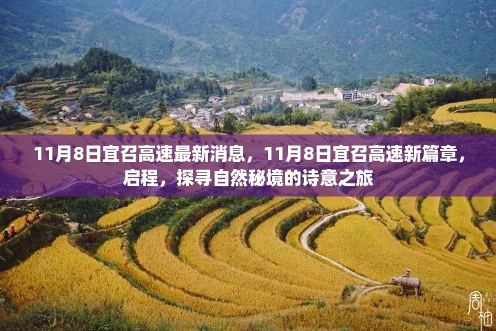 11月8日宜召高速新篇章，启程探寻自然秘境的诗意之旅