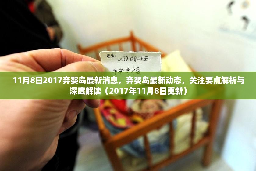 2017年11月8日弃婴岛最新动态与深度解读，关注要点解析