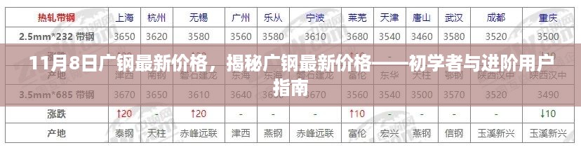 揭秘广钢最新价格，初学者与进阶用户指南（11月8日更新）