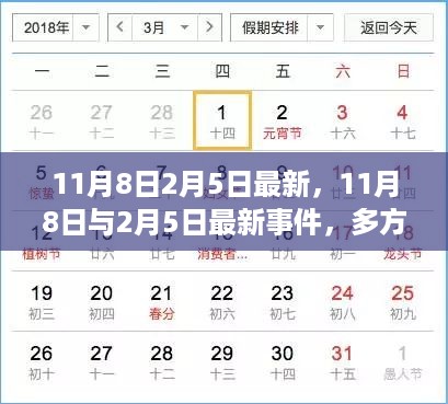 11月8日与2月5日事件深度解读，多方观点交织的最新动态分析