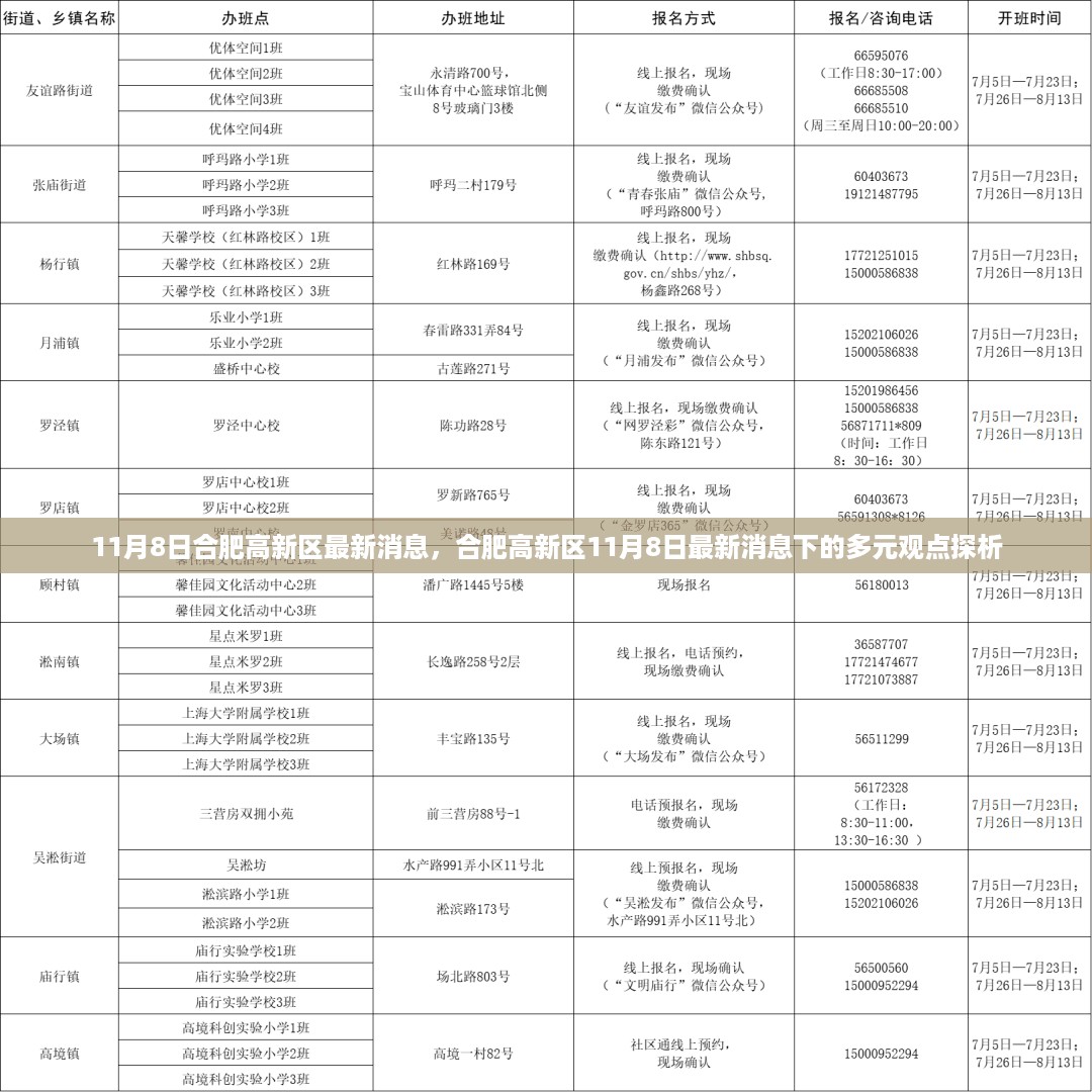 合肥高新区最新动态，多元观点探析