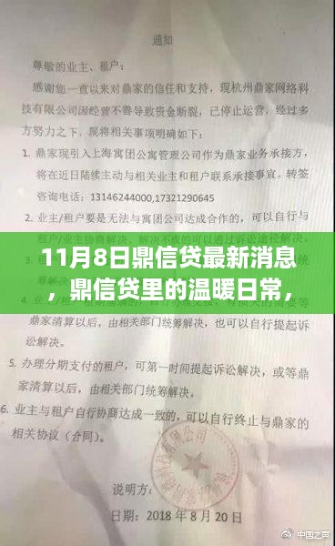 鼎信贷11月8日最新动态，温暖日常回顾