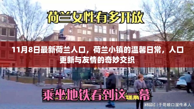 荷兰小镇温馨日常，人口更新与友情交织的奇妙之旅（最新人口数据发布）