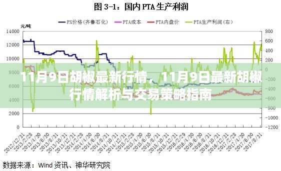 11月9日胡椒行情解析及交易策略指南