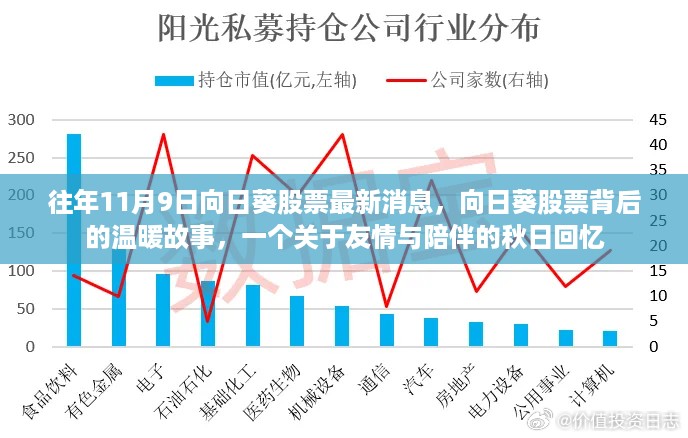 向日葵股票最新动态，秋日回忆中的友情与陪伴故事揭秘