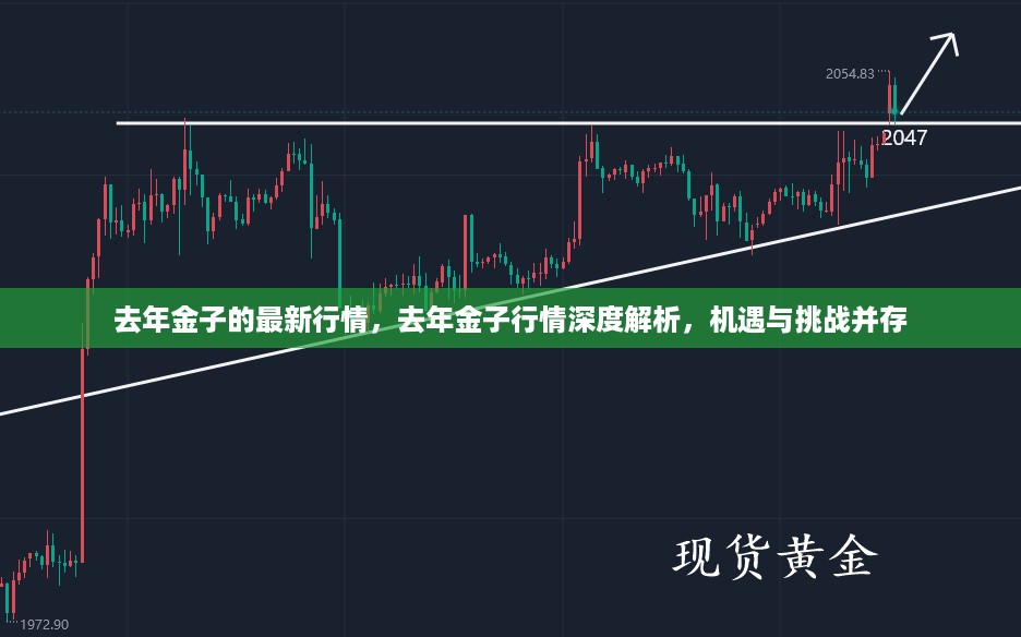 废寝忘食 第15页