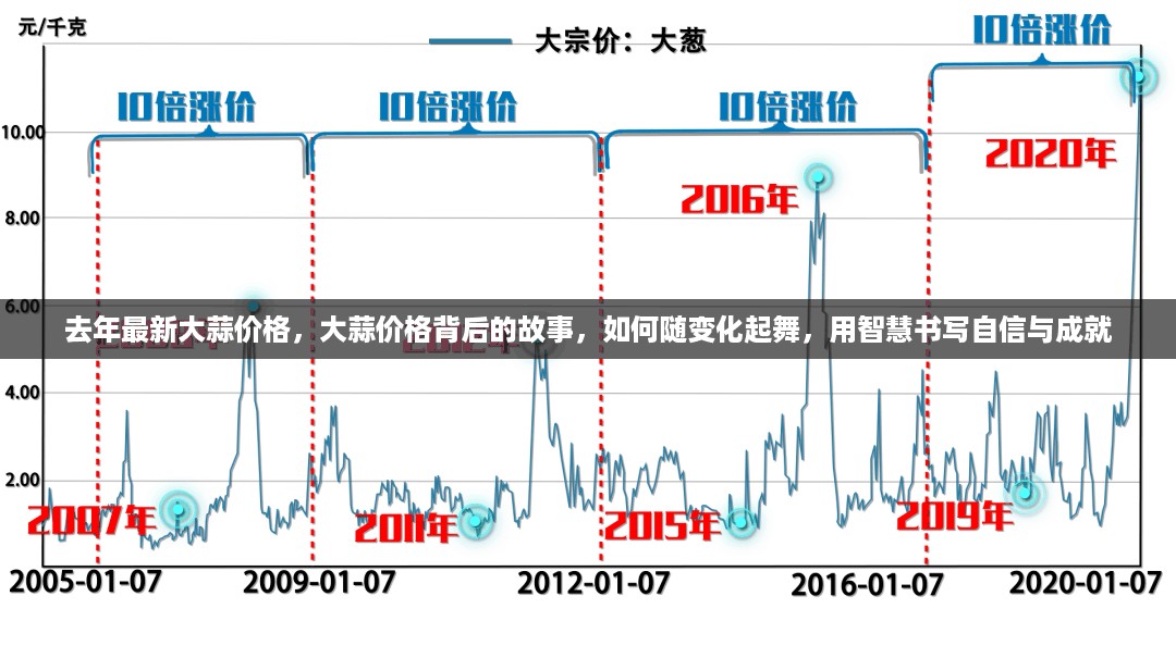 去年大蒜价格走势揭秘，智慧应对市场变化，自信成就财富故事