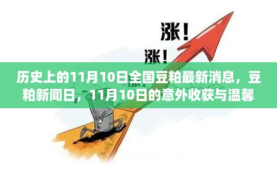 11月10日全国豆粕最新消息，意外收获与温馨时光回顾日特辑