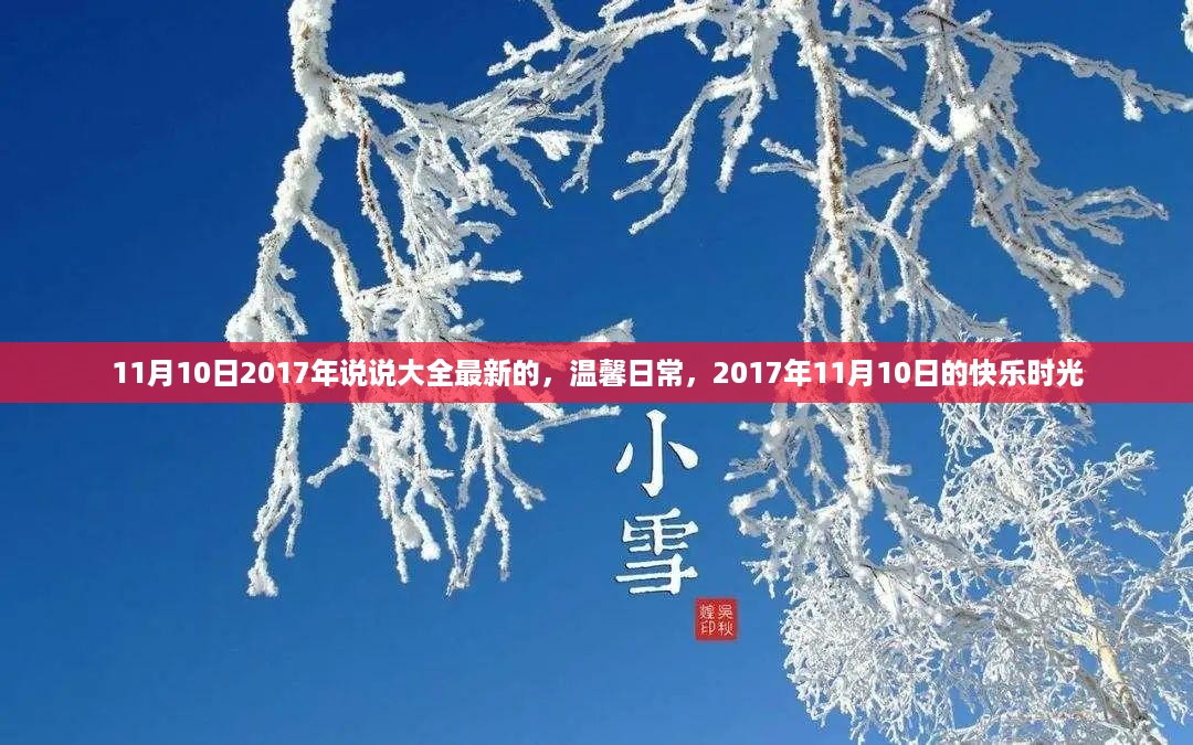 2017年11月10日温馨日常，快乐时光的记录