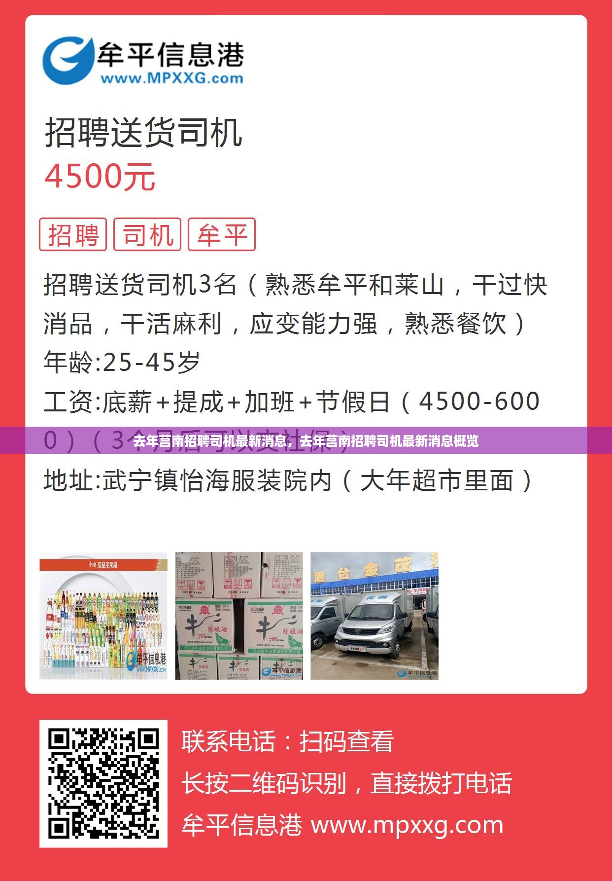 去年莒南招聘司机最新消息概览，最新招聘动态及要求解析