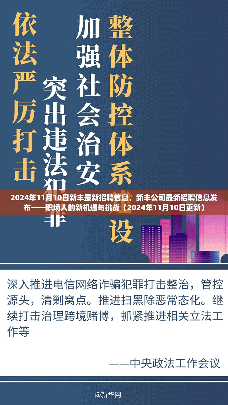 2024年11月10日新丰公司最新招聘信息发布，职场人的新机遇与挑战