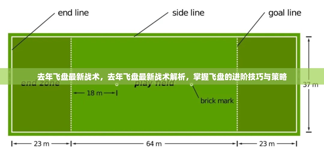 去年飞盘最新战术解析，掌握进阶技巧与策略