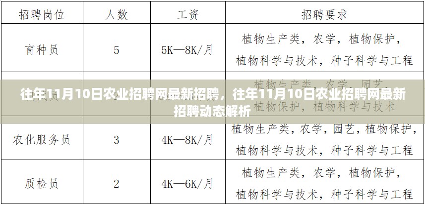 往年11月农业招聘网最新招聘信息解析与动态概览