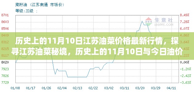 探寻江苏油菜秘境，历史上的11月10日油价回顾与今日最新行情之旅