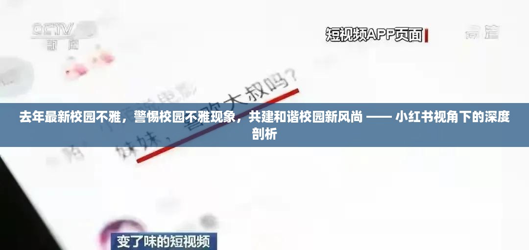 小红书视角下的校园不雅现象深度剖析与共建和谐校园新风尚警告