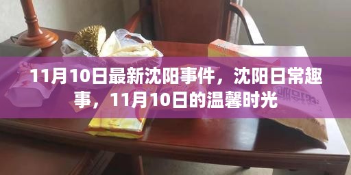 沈阳趣事，11月10日的温馨时光记录与日常新鲜事