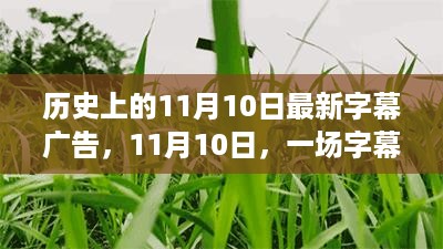 11月10日，字幕广告中的奇妙时光回顾