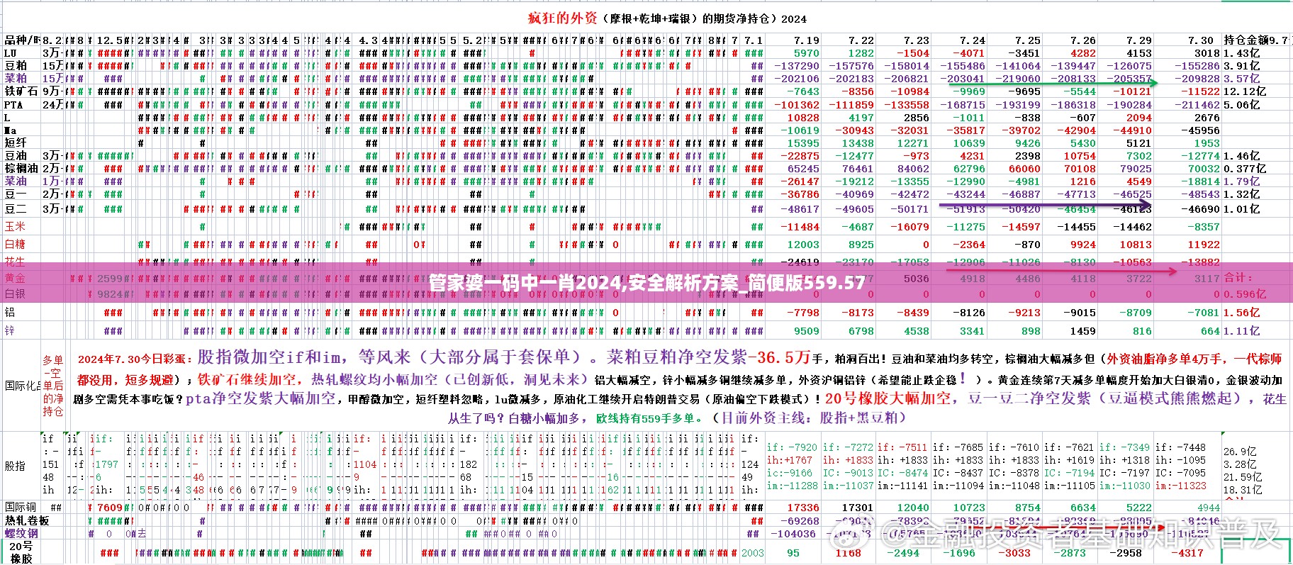 管家婆一码中一肖2024,安全解析方案_简便版559.57