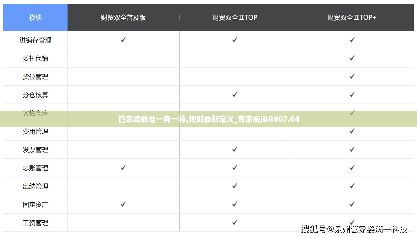 管家婆最准一肖一特,规则最新定义_专家版JBR807.04