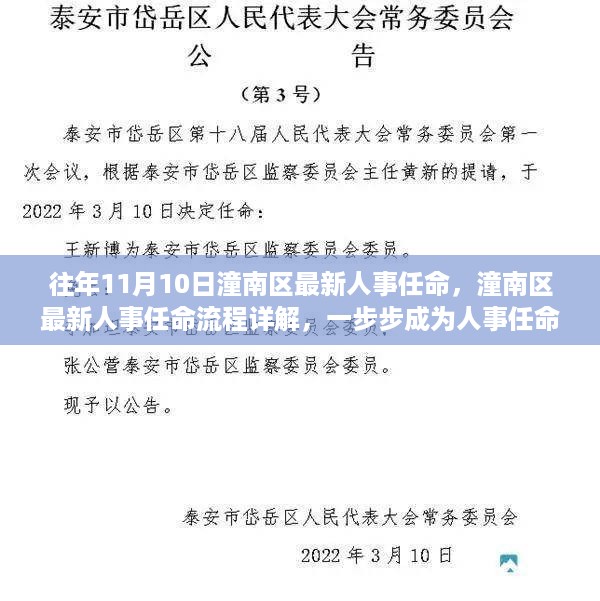 潼南区人事任命详解，成为任命达人的必经之路，了解最新任命流程与往年变化分析。