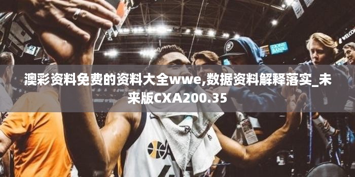 澳彩资料免费的资料大全wwe,数据资料解释落实_未来版CXA200.35