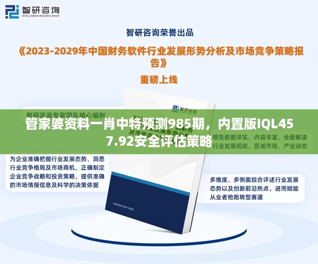 管家婆资料一肖中特预测985期，内置版IQL457.92安全评估策略