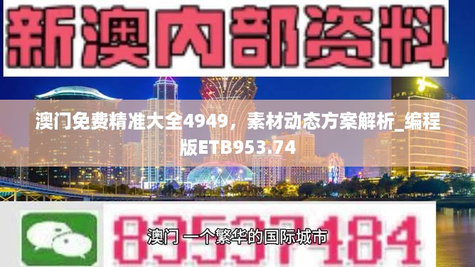 澳门免费精准大全4949，素材动态方案解析_编程版ETB953.74