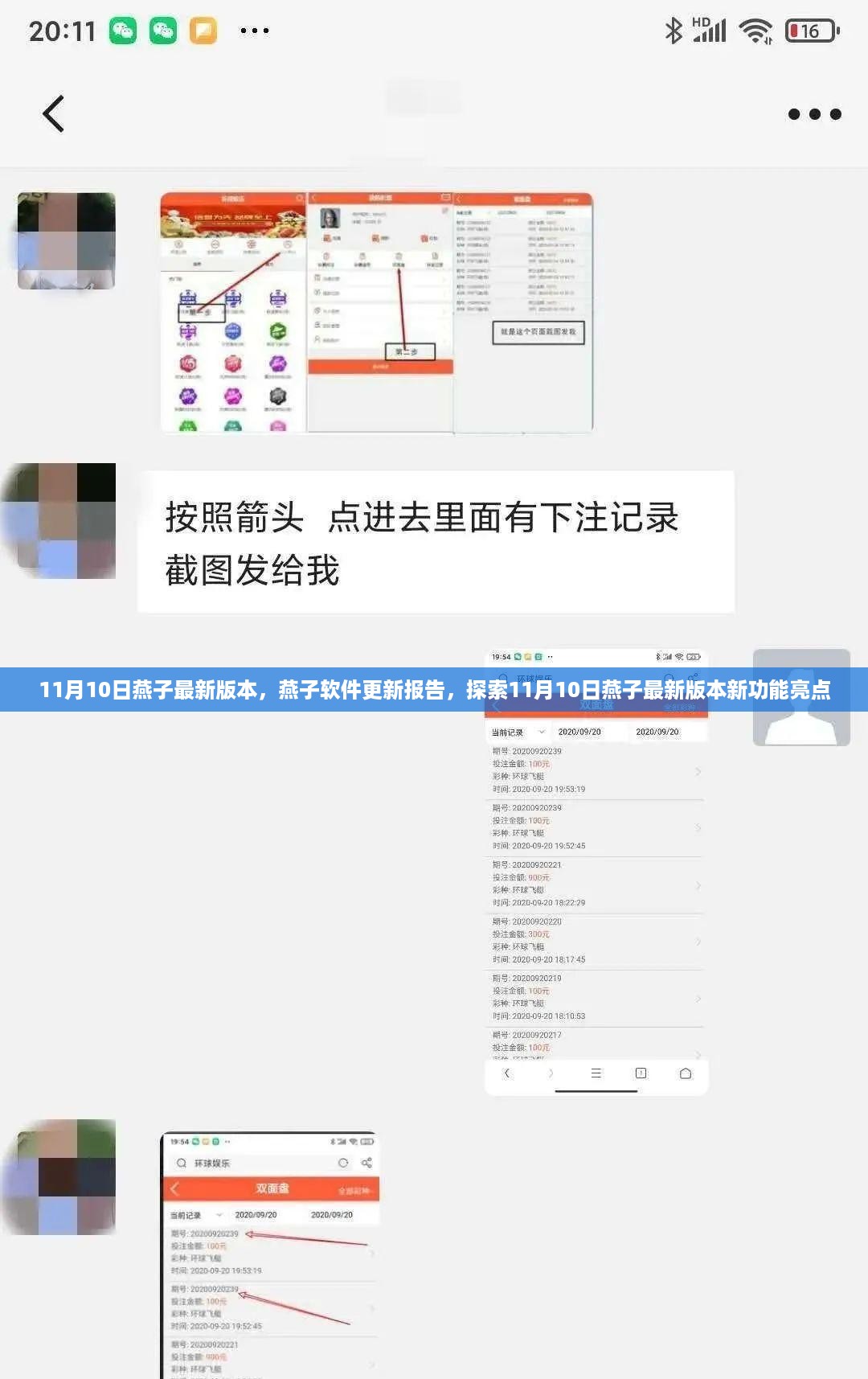 11月10日燕子软件更新报告，新功能亮点全面探索