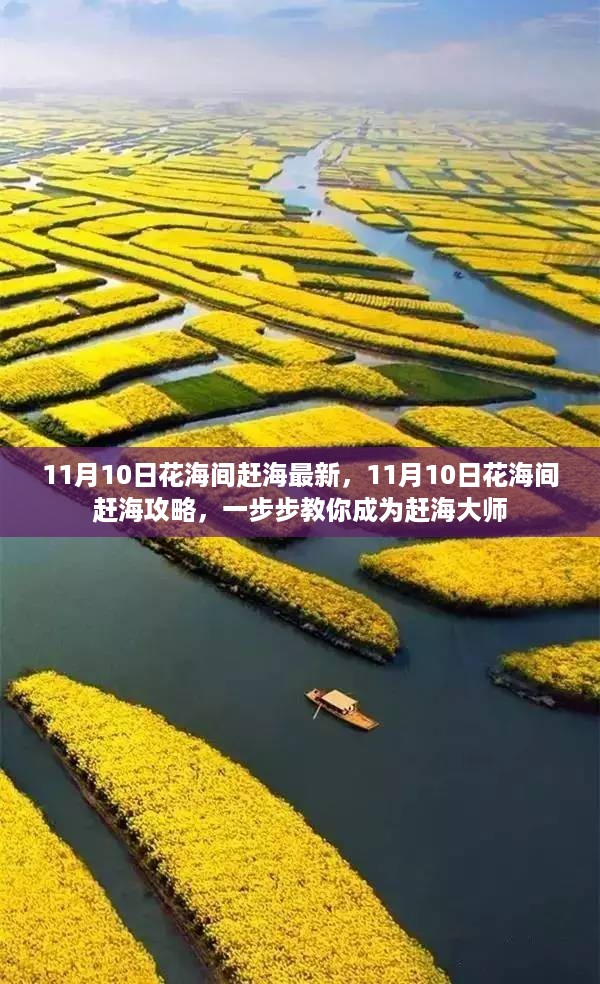 11月10日花海间赶海指南，一步步教你成为赶海大师，获取最新赶海攻略