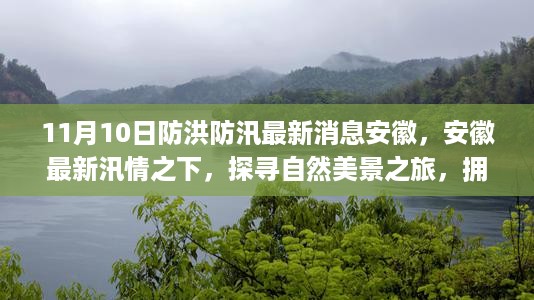 安徽汛情最新消息，防洪防汛下的自然美景探寻与内心宁静之旅