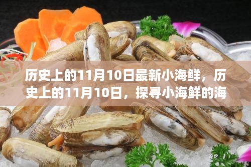 探寻小海鲜的海洋记忆，历史上的11月10日回顾与发现