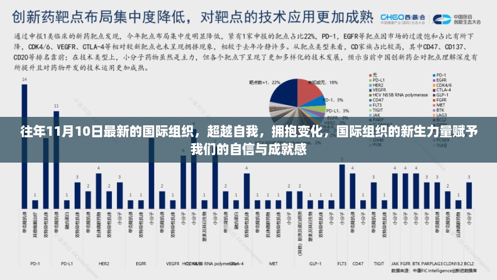 超越自我，拥抱变化，国际组织新生力量赋予我们的自信与成就感