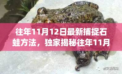 独家揭秘，往年11月12日最新捕捉石蛙方法与绝招，轻松掌握技巧，满载而归！