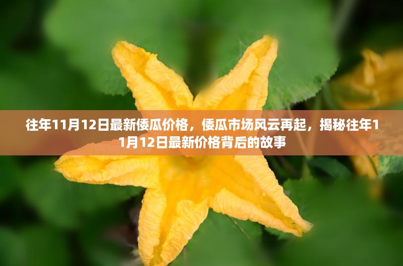 揭秘，倭瓜市场风云再起，往年11月12日最新价格背后的故事与趋势分析